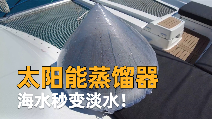 管家婆一肖一码免费公开资料,白敬亭 宋轶,最新答案解释落实_专家版V2.18